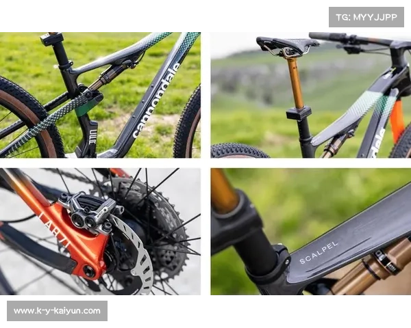 禧玛诺全新XTR PD-M9220脚踏 专为林道越野设计 提升骑行体验与稳定性 禧玛诺全新XTR PD-M9220脚踏 专为林道越野设计 提升骑行体验与稳定性